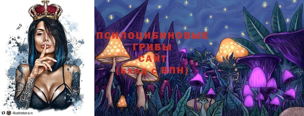 бутират Ельня