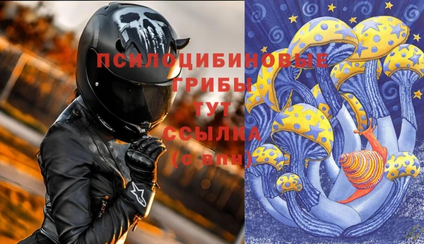 бутират Елизово