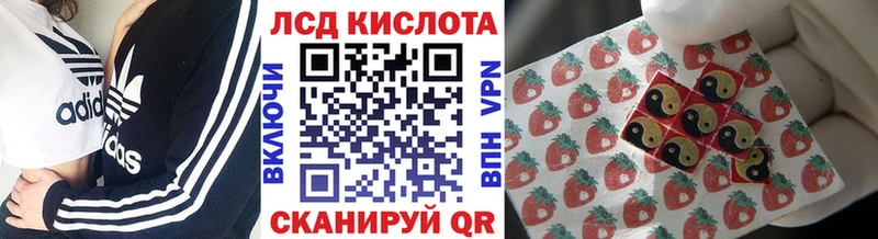 купить наркотики цена  Майкоп  Наркотические марки 1,5мг 