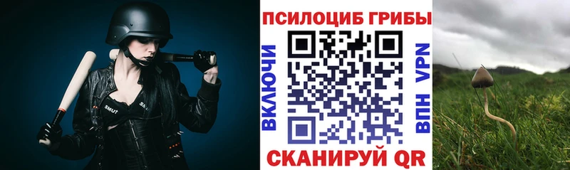 Псилоцибиновые грибы MAGIC MUSHROOMS  дарнет шоп  Майкоп 